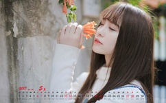 精品熟女少妇AV久久免费软件